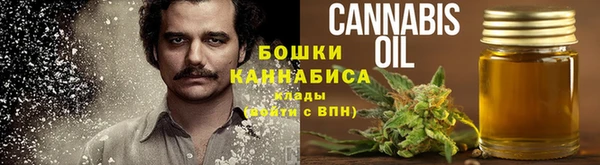 дживик Богородицк