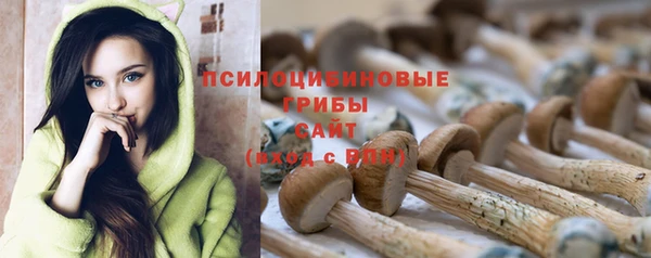 дживик Богородицк