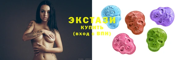 дживик Богородицк