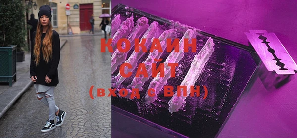 дживик Богородицк
