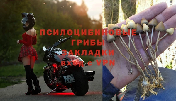 бошки Богданович