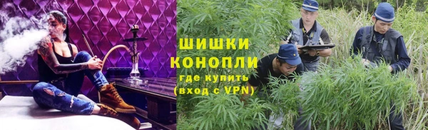 бошки Богданович