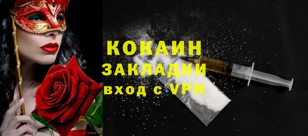 дживик Богородицк