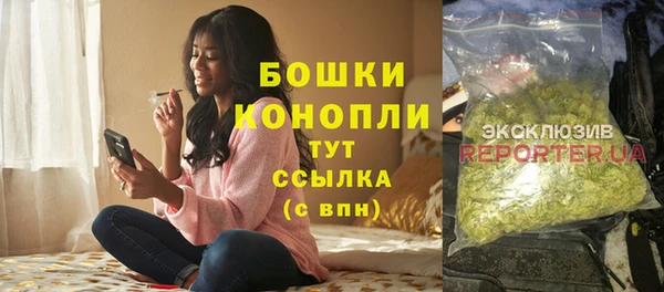 бошки Богданович