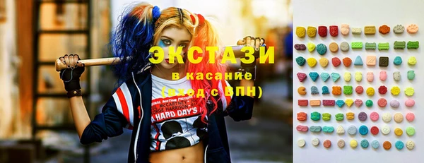 дживик Богородицк