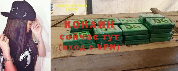 бошки Богданович
