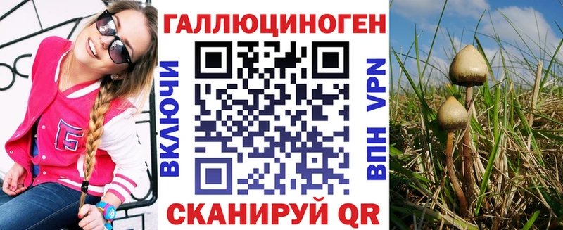 Псилоцибиновые грибы мицелий  Купить  Палласовка 